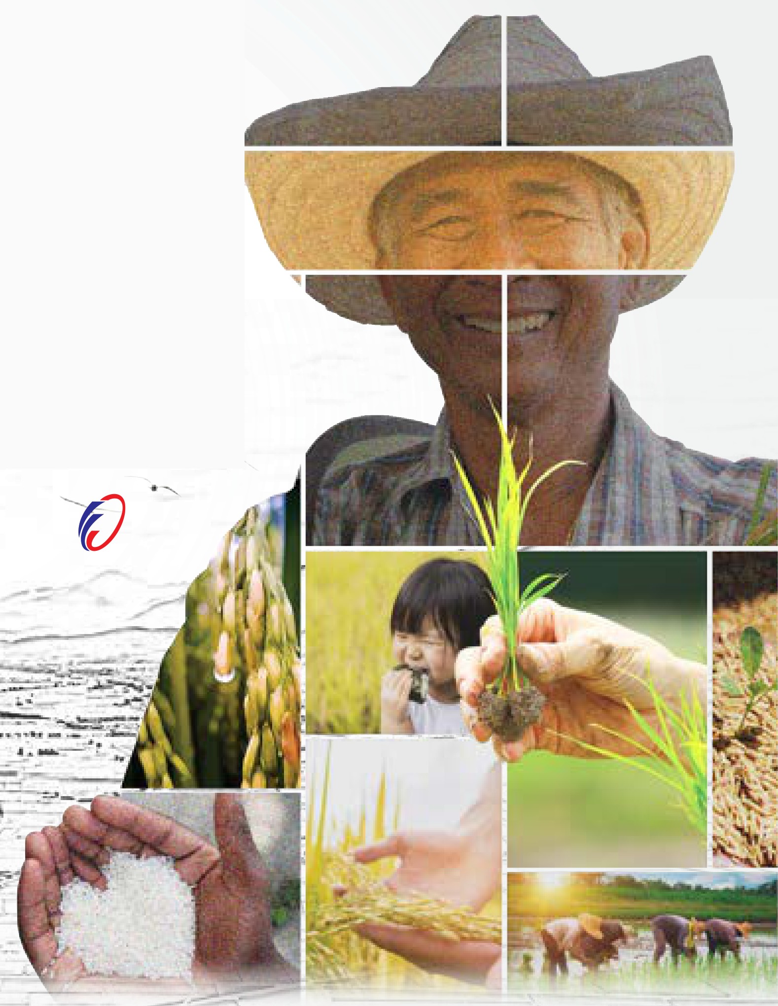 A YHL rice farmer and the people behind every grain, from the field to your table.